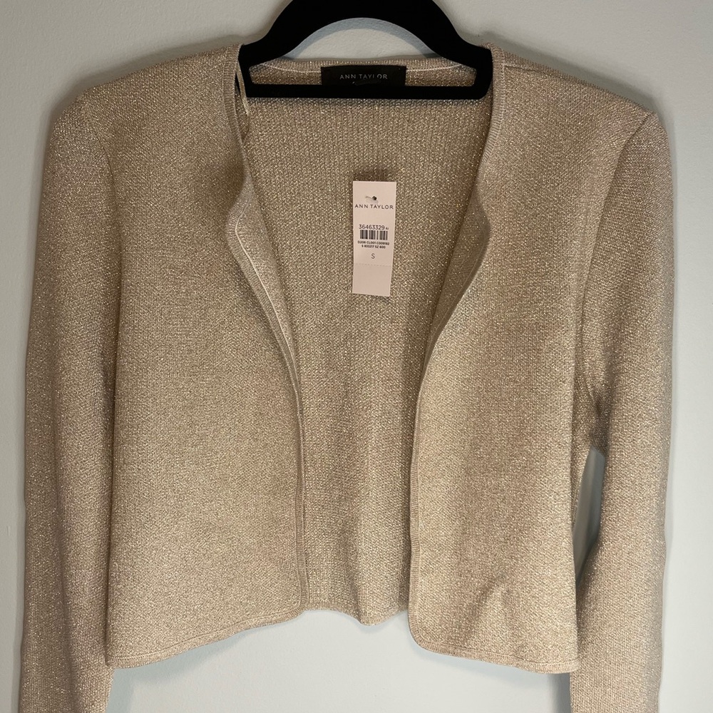 Ann Taylor Shimmering Silver Gold Knit